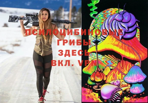 бошки Нефтегорск